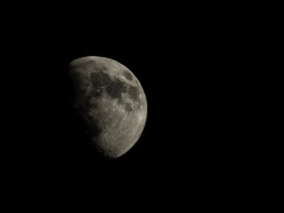 Wall Mural - high contrast gibbous moon