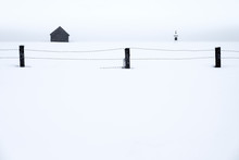 Agricultural Fencing In Snowy Landscape