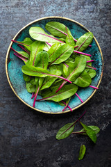 Wall Mural - Fresh mangold leaves, swiss chard or leaf beet