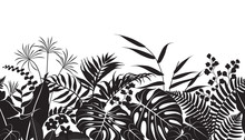 Tropical Plants Silhouette Pattern