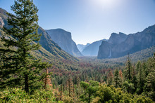 View Of Yosemite Valley From Tunnel View Point At Sunrise - View To Bridalveil Falls, El Capitan And Half Dome - Yosemite National Park In California, USA