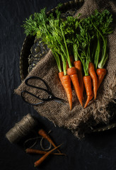 Wall Mural - Fresh baby carrots place in burlap cloth and old tray.Close up,to view