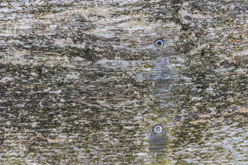 Abstract background of old, detailed wooden texture