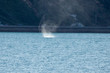Small Waterspout 