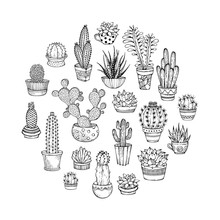 Cacti And Succulents Round Doodles Illustration.