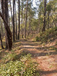 Wanderweg im Kumaon Uttarakhand Indien 