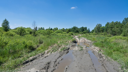 Wall Mural - Off-road track with puddles and tire imprints in summer landscape and blue sky. The muddy, bumpy path in green deserted military area with trees, bushes and grass.