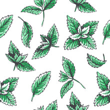 Vector Seamless Pattern With Mint Leaves. Botanical Hand Drawn Illustration Of Herb. Floral Texture In Sketch Style