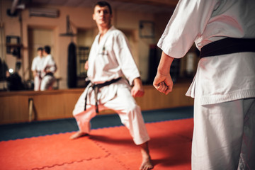 Wall Mural - Martial arts, fight training in action