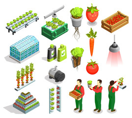 Canvas Print - Hydroponic And Aeroponic Isometric Icons