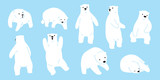 Fototapeta Pokój dzieciecy - Bear vector Polar Bear logo icon doodle illustration character cartoon