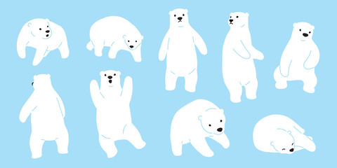 Wall Mural - Bear vector Polar Bear logo icon doodle illustration character cartoon