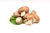 Fototapeta Lawenda - Brown Mushrooms on a White Background