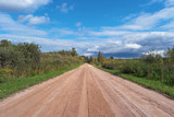 Fototapeta  - Scenic gravel road in forest. Rural country road