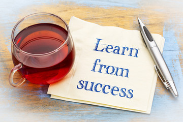 Wall Mural - Learn from success advice