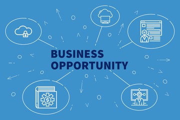 Conceptual business illustration with the words business opportunity