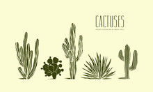 Stock Vector Set Of Hand Drawn Cactus