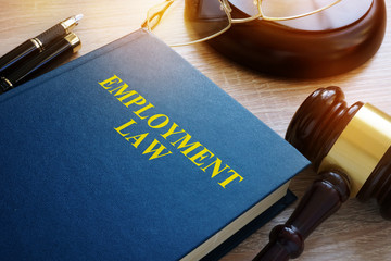 Wall Mural - Employment law concept. Book and gavel on a desk.