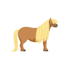 Shetland Pony, Thoroughbred Horse Vector Illustration