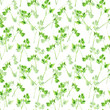 Seamless pattern with green branches of  parsley or cilantro on white background