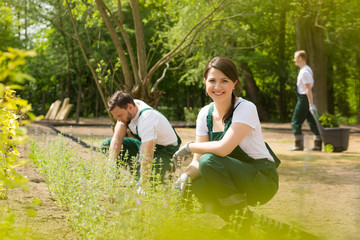 Wall Mural - Restoring the old park's flowerbeds