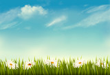 Fototapeta Na sufit - Spring nature background with green grass and sky. Vector.