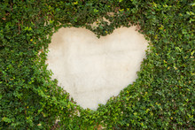 Green Tree At The Wall With Heart Shape Space. Valentine And Love Concept