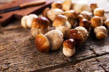 Raw Porcini Mushrooms