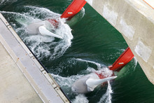 Tidal Water Turbines In The Tidal Current Of The Sea