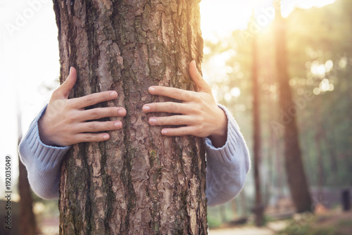 Fotografie, Obraz Closeup hands of woman hugging tree with sunlight