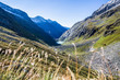 Österreich, Salzburg, Zell am See, Wandern im Nationalpark Hohe Tauern auf 2000m, Medelzkopf