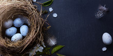 Happy Easter;  Easter Eggs In Nest And Spring Flower On Table Background