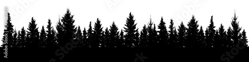 forest-of-christmas-fir-trees-silhouette-coniferous-spruce-panorama-park-of-evergreen-wood-vector-on-white-background