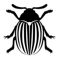 Wall Mural - Vector image of the Colorado beetle silhouette on a white background