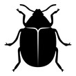 Vector image of the Colorado beetle silhouette on a white background