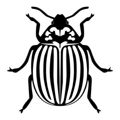 Vector image of the Colorado beetle silhouette on a white background