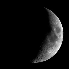 Wall Mural - High contrast Waxing crescent moon seen with telescope