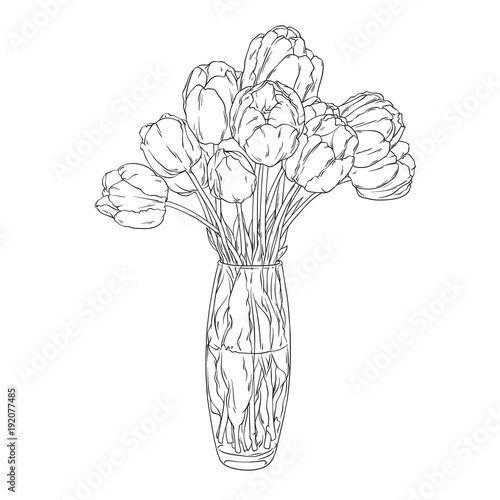 Featured image of post How To Draw A Bouquet Of Tulips / 2) from the middle of the rectangle, draw one vertical and one horizontal line equally dividing the mark off the width and height of the picture.