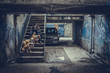 © ltummy - Man sitting on the stairs and holding three English bulldogs