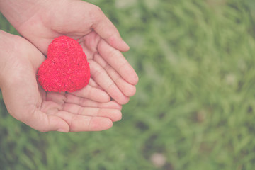 Wall Mural - Woman giving red heart on green grass background and love in valentine's day. People, charity, family and Love concept.