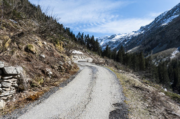 Wall Mural - Mist over the road