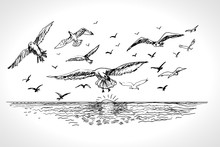 Sea Landscape With Seagulls. Hand Drawn Vector Llustration Realistic Sketch