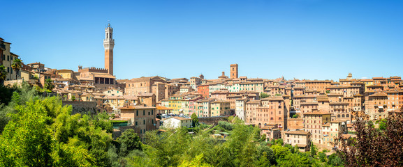 Wall Mural - panorama of siena, aerial view with the torre del mangia, tuscany, italy