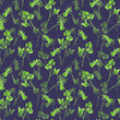 Seamless pattern with green branches of parsley or cilantro on dark blue background