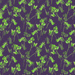 Seamless pattern with green branches of parsley or cilantro on dark violet background