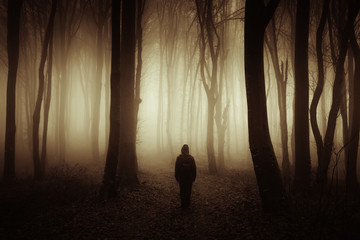 Wall Mural - sunset light in dark mysterious forest with scary man silhouette