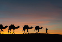 Silhouette Of Caravan In Desert Sahara, Morocco With Beautiful And Colorful Sunset In Background