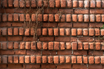 Wall Mural - Old brick background, texture and pattern. Red brick wall