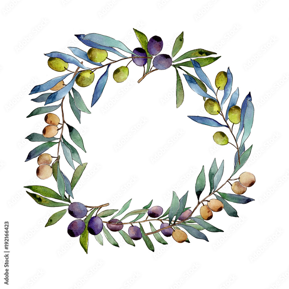 Olive tree wreath in a watercolor style. Full name of the plant ...