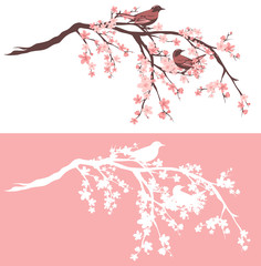 Wall Mural - birds sitting on blooming sakura tree branches - outline and silhouette vector design set